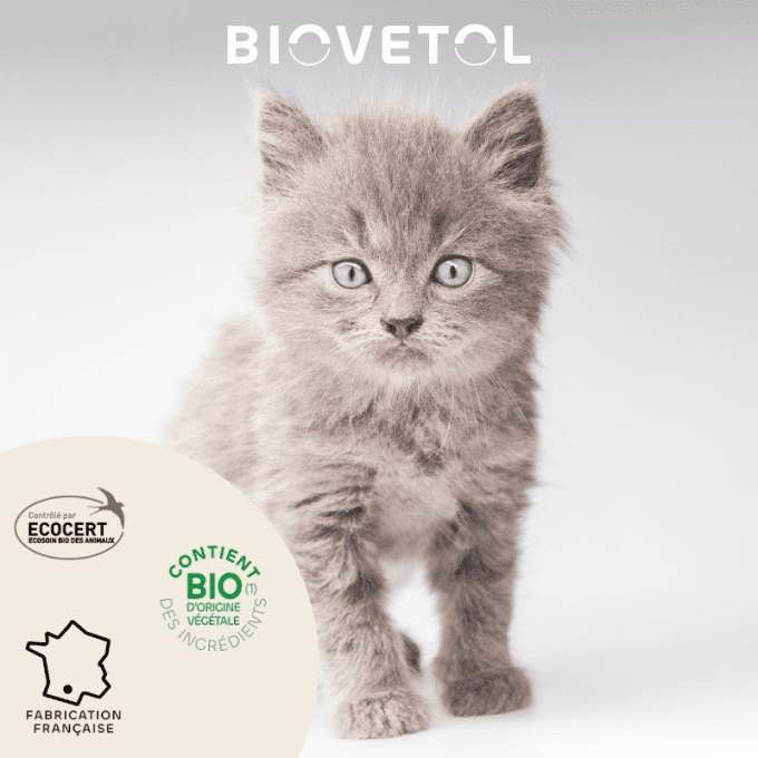 PIPETTES ANTI PARASITAIRE - CHATS & CHATONS