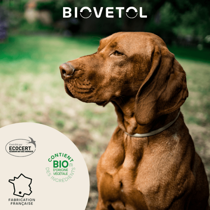 PIPETTES ANTI PARASITAIRE - GRANDS CHIENS