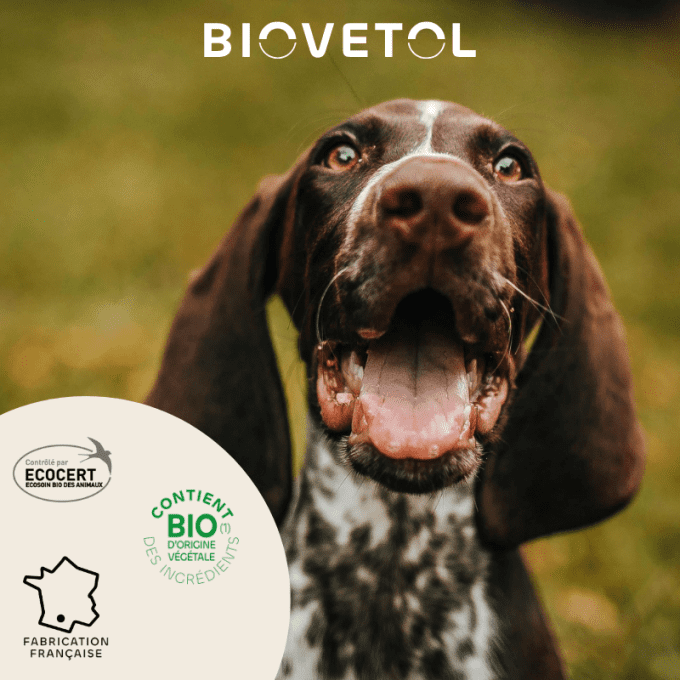 PIPETTES ANTI PARASITAIRE - MOYENS CHIENS