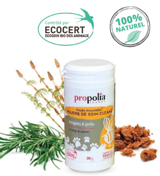 POUDRE DE SOIN CUTANE PROPOLIS & PRELE