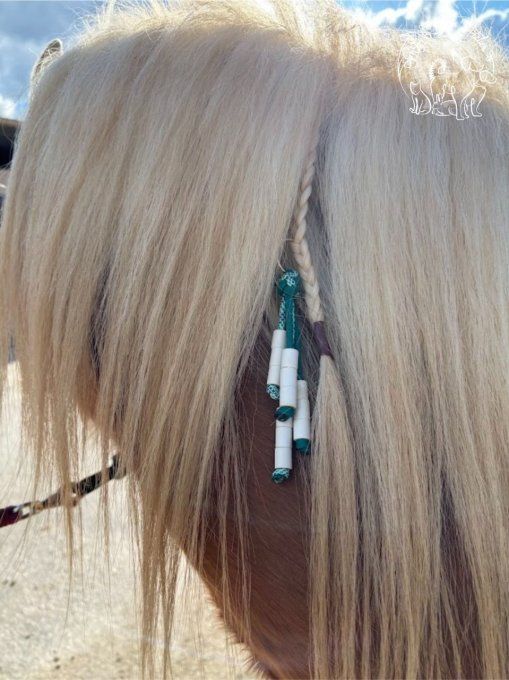 CHEVAL _ ACCROCHE CRINS ANTI TIQUE ET PUCE _ V2 _ Sur mesure