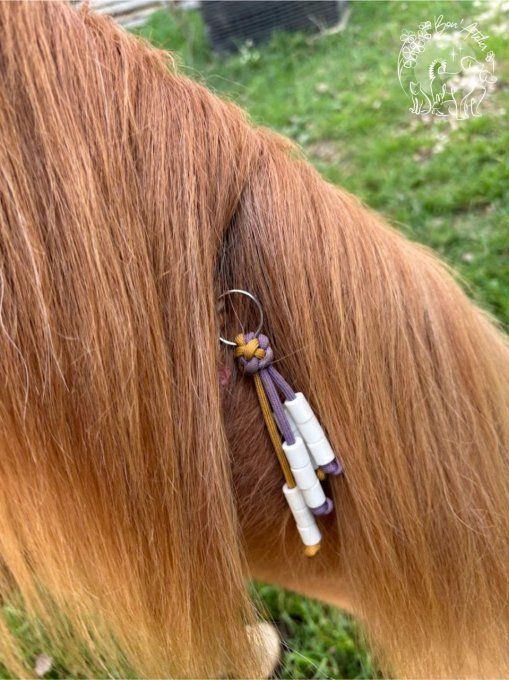 CHEVAL _ ACCROCHE CRINS ANTI TIQUE ET PUCE _ V2 _ Sur mesure