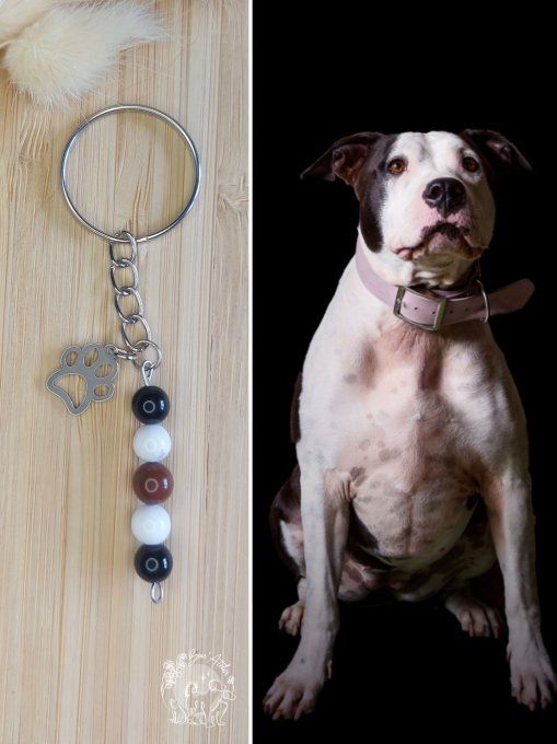 PORTE BONHEUR A L'EFFIGIE DE VOTRE COMPAGNON