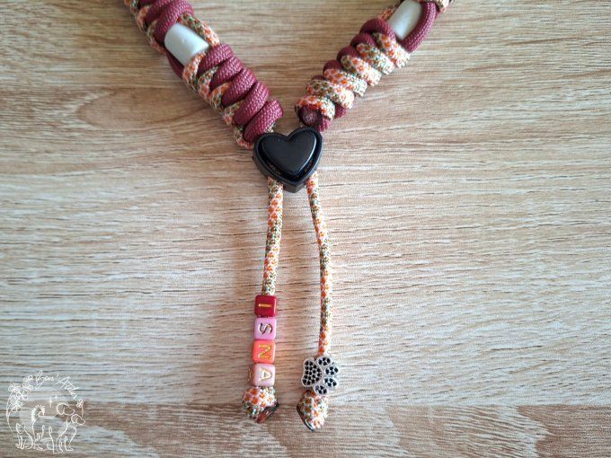 CHIENS _ COLLIER ANTI TIQUE & PUCE / CORDAGE ROND + PRENOM _ Sur mesure