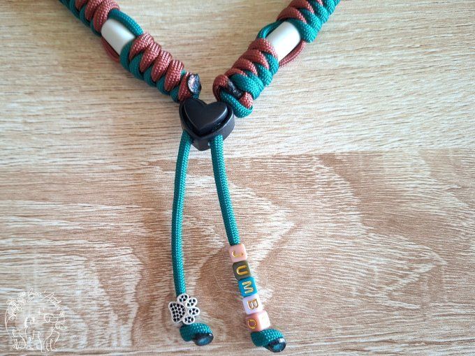 CHIENS _ COLLIER ANTI TIQUE & PUCE / CORDAGE ROND + PRENOM _ Sur mesure