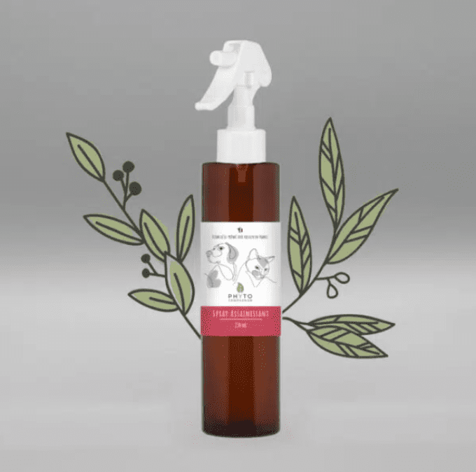 SPRAY ASSAINISSANT