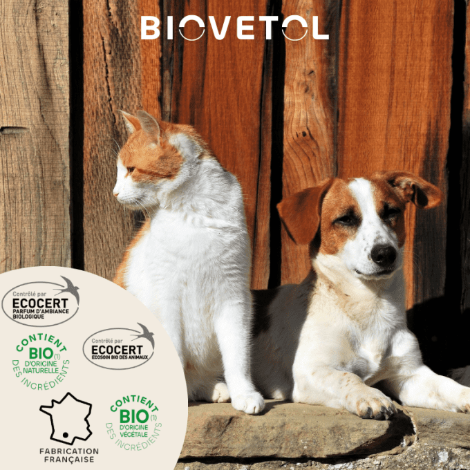 TROUSSE DE VOYAGE POUR CHIENS & CHATS