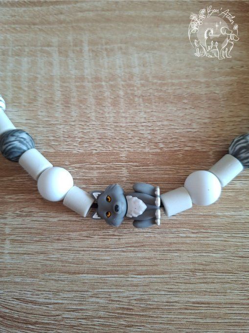 CHIENS _ COLLIER ANTI TIQUE & PUCE / SILICONE _ Sur mesure