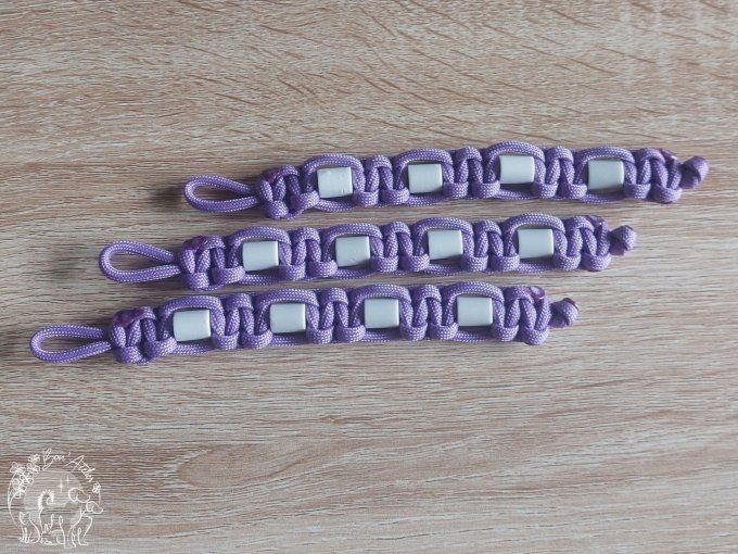 CHEVAL _ ACCROCHE CRINS ANTI TIQUE ET PUCE _ V1 _ Sur mesure