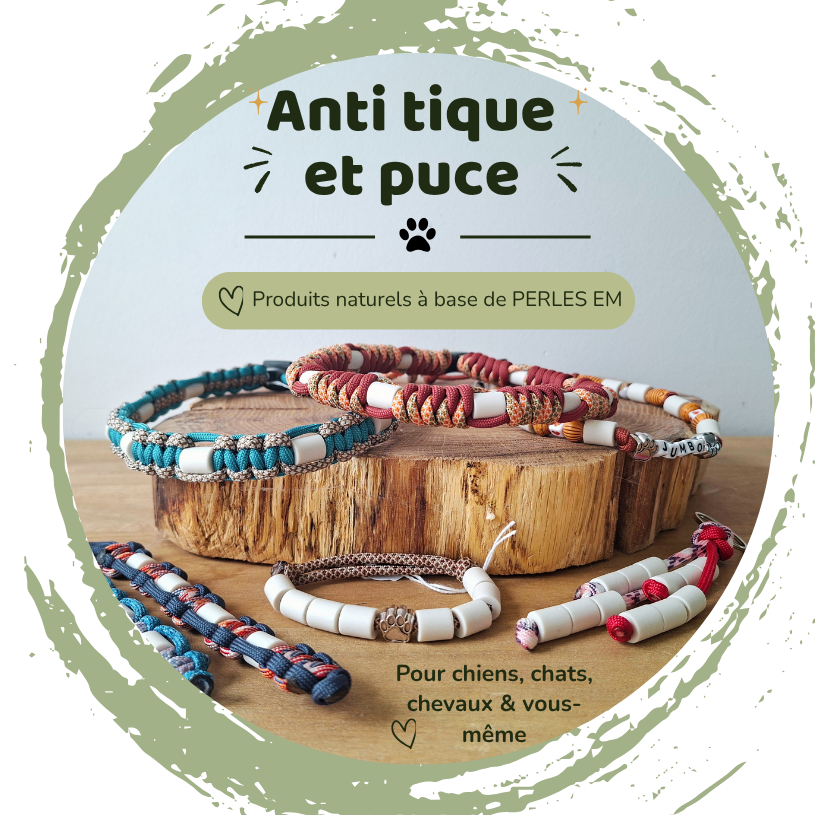 Bon'Atelier, colliers anti tique et puce chiens chats chevaux