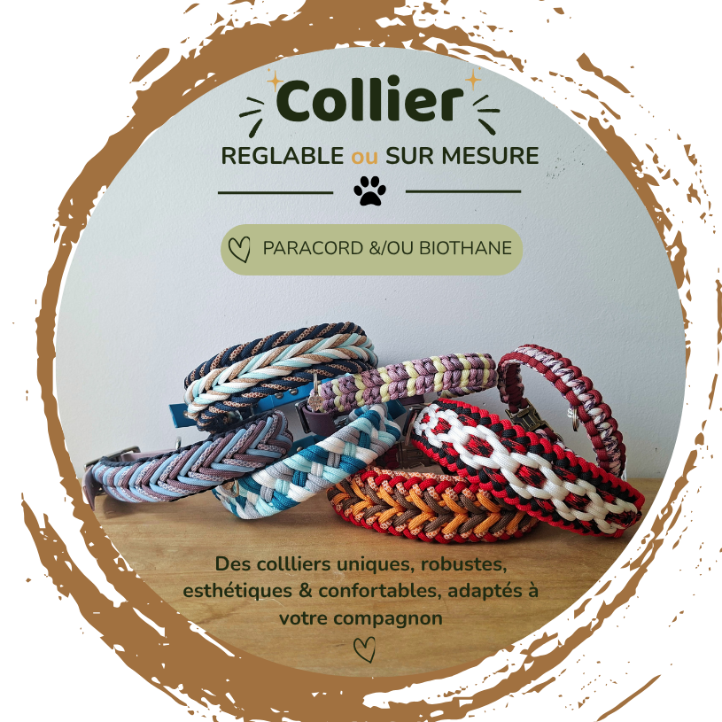 Bon'Atelier, colliers pour chiens fait main