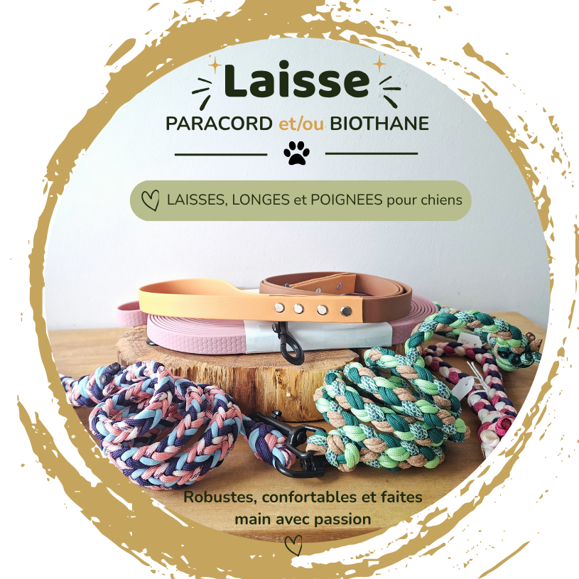 Bon'Atelier, laisses et longes pour chien et chat en paracord et biothane