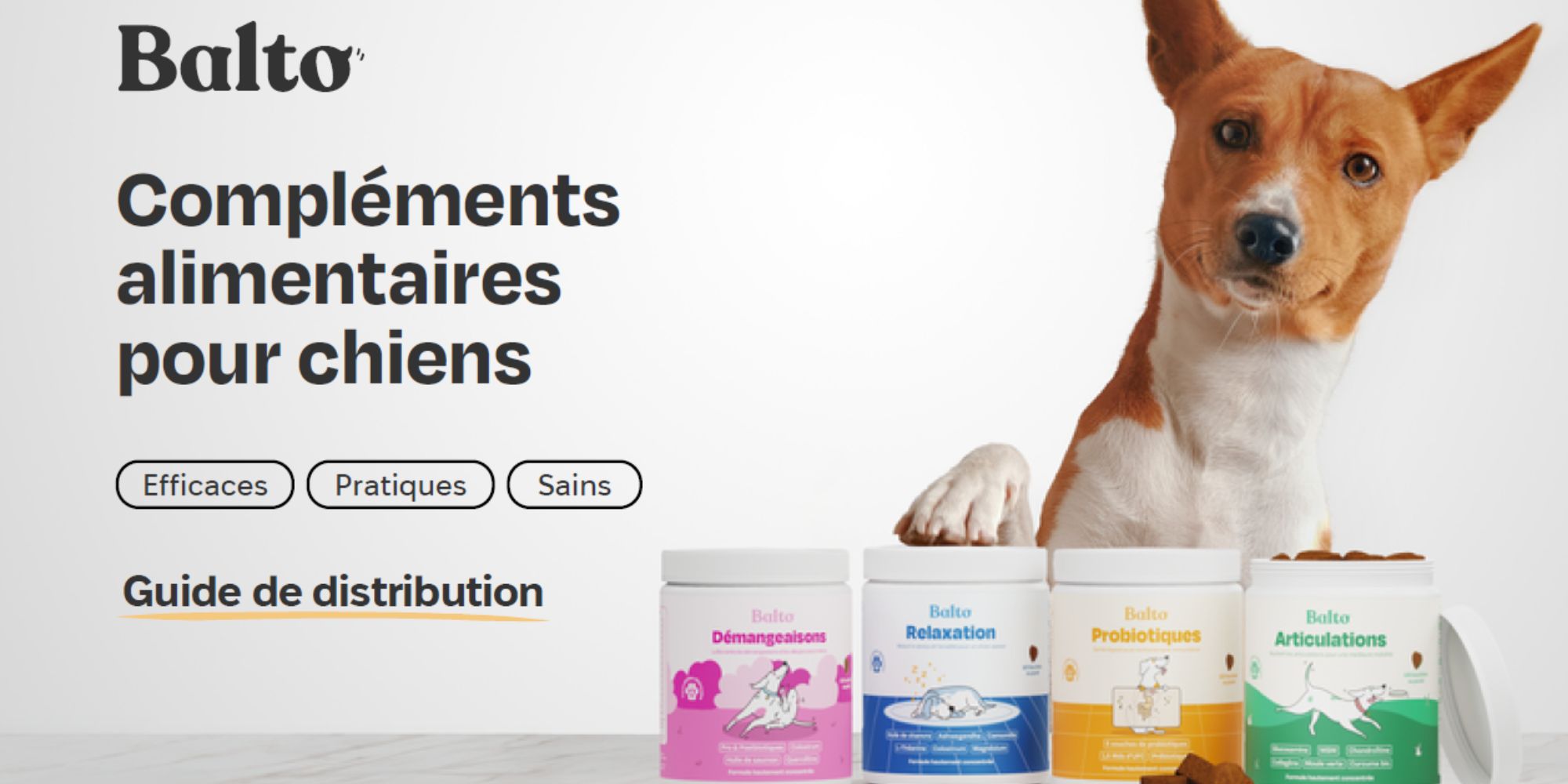 balto pour chien et chat