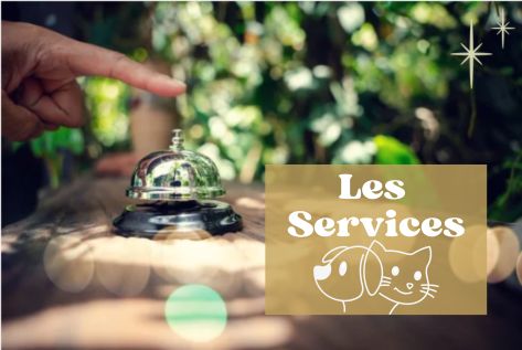 naturopathie pour chien, chat, chevaux