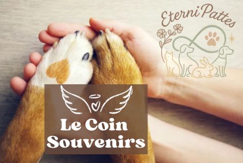 Eternipattes, souvenir de vos chiens et de vos chats avec des poils ou cendres